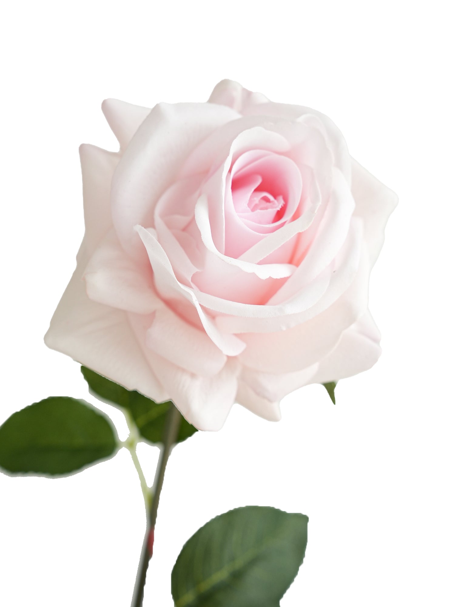 High quality roses with lifelike tactile sensation- 29.5"