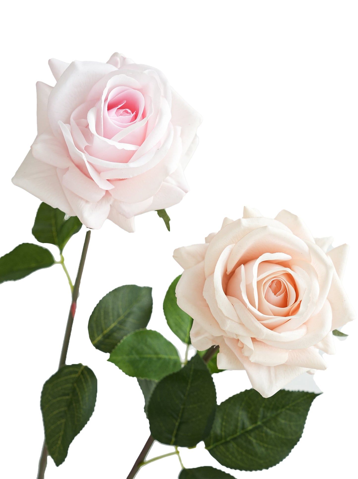 High quality roses with lifelike tactile sensation- 29.5"