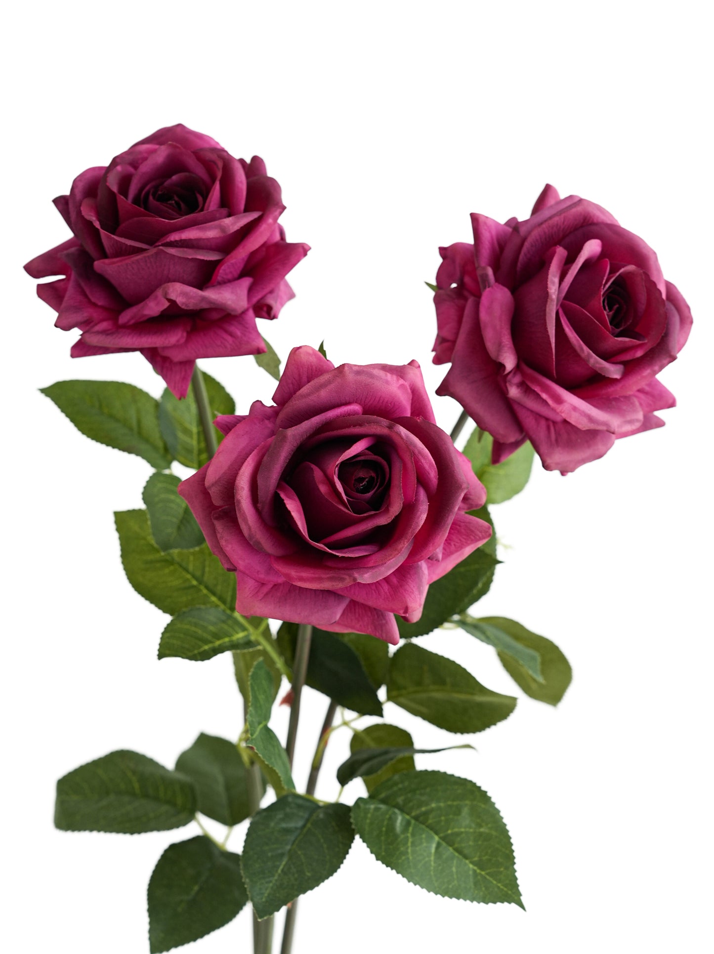 High quality roses with lifelike tactile sensation- 29.5"