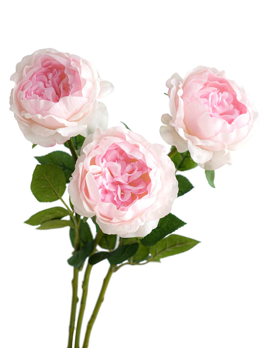 Pink Austin Roses with a Luxurious Touch- 29.5"