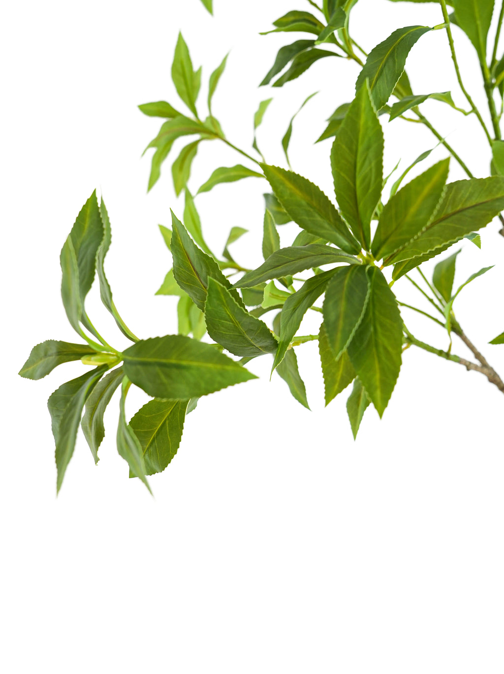 Tall Artificial Pieris japonica -49.2"