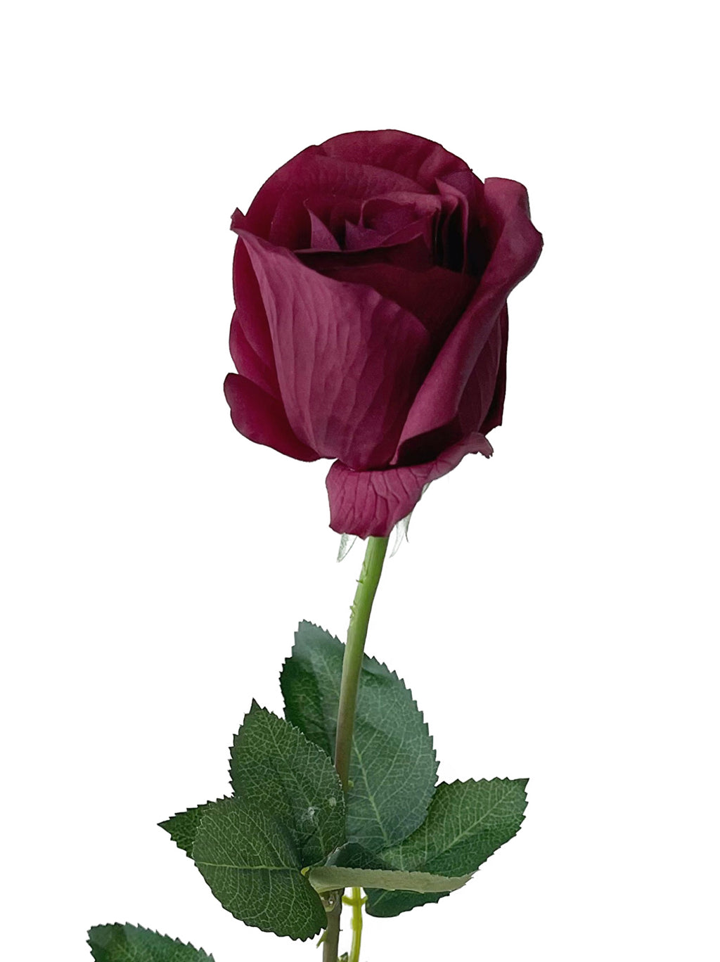 Elegant Roses with Authentic Touch- 25.6"