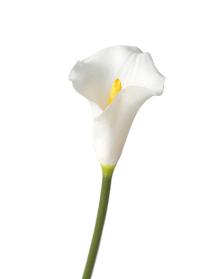 Artificial calla lily flowers - 25.9"