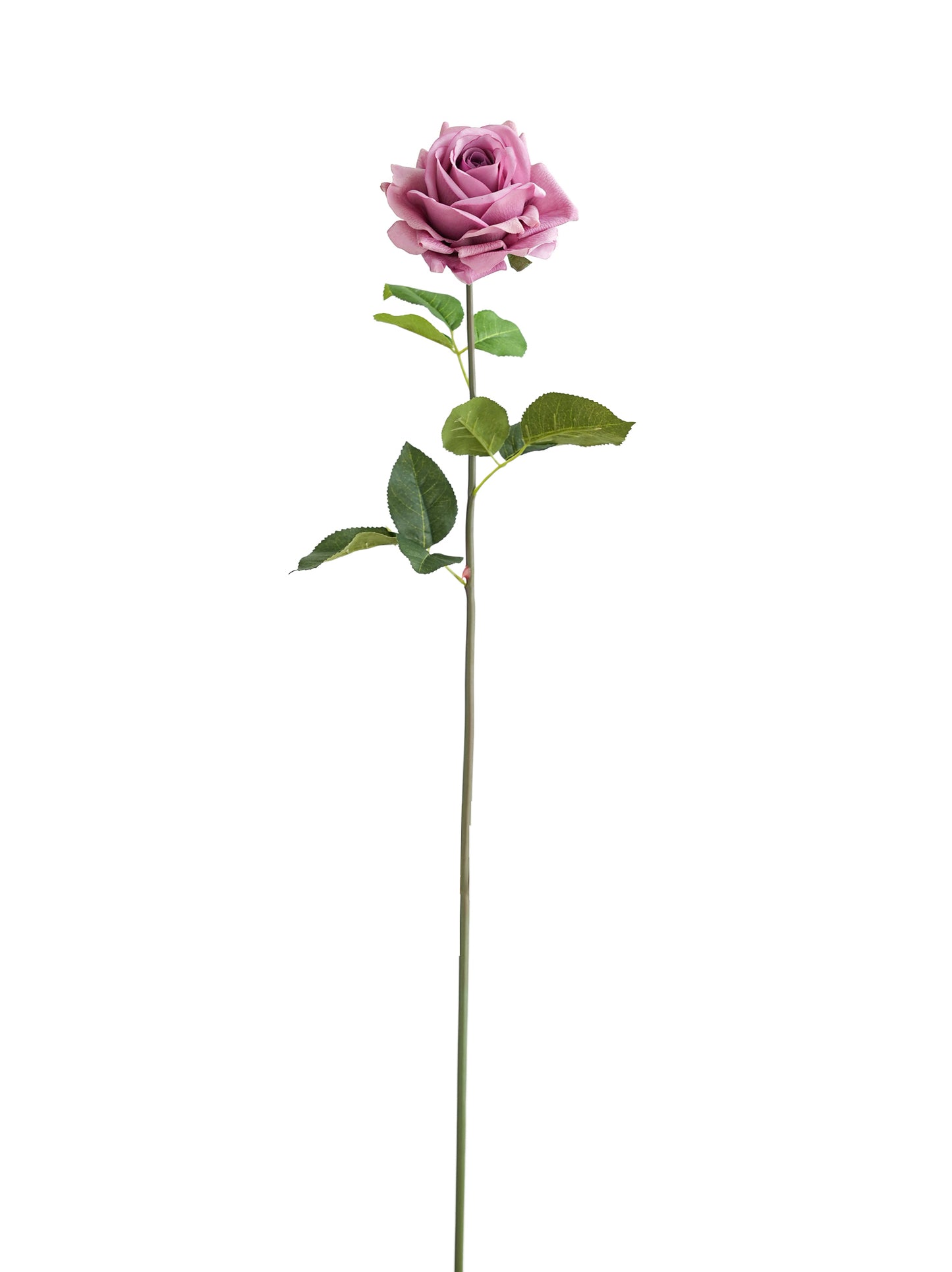 High quality roses with lifelike tactile sensation- 29.5"