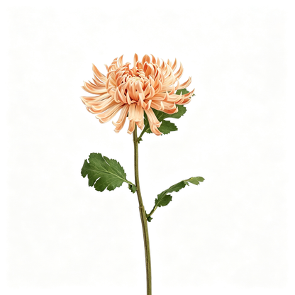 Large Double‑Petal Artificial Chrysanthemum‑23.6"