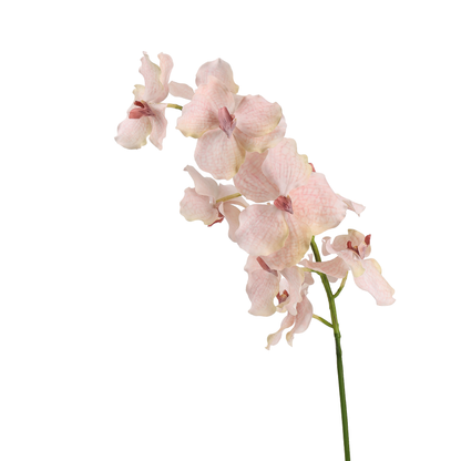 High‑Quality Real‑Touch Artificial Vanda Multi‑Blossom Stem‑33.8"