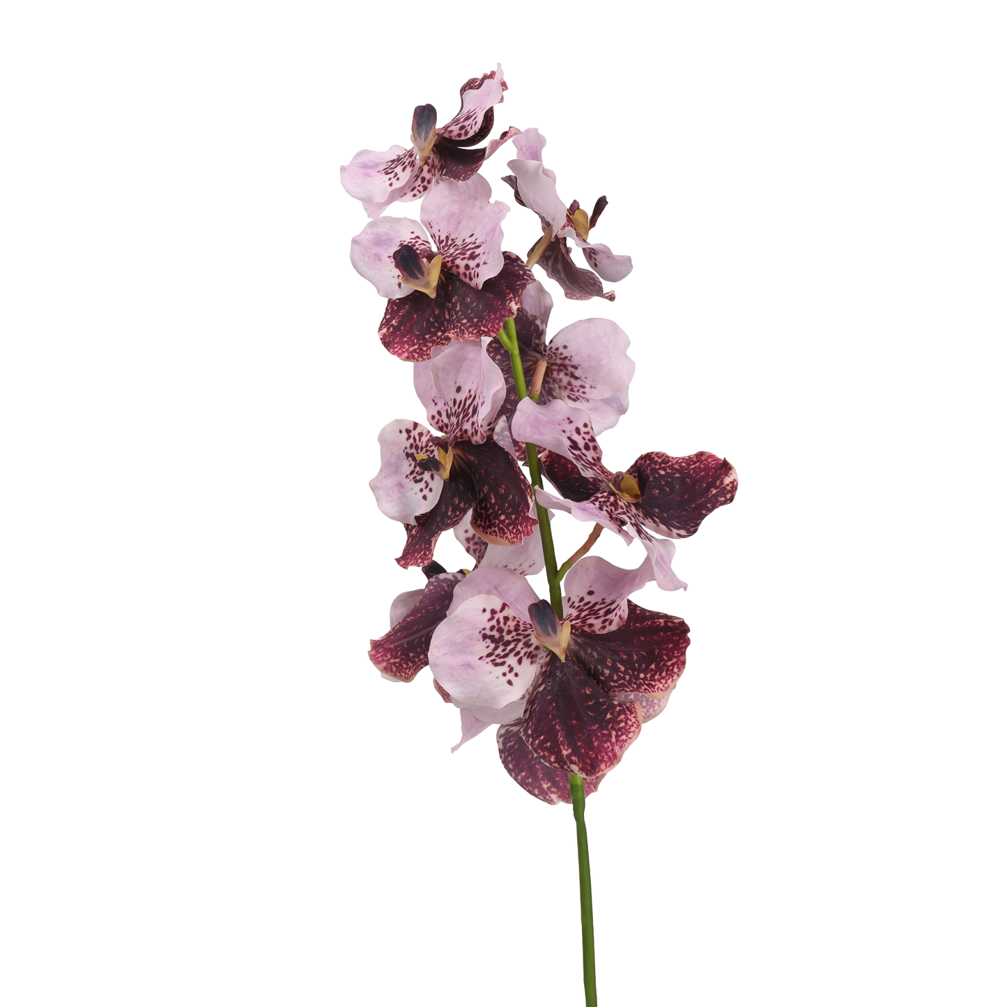 High‑Quality Real‑Touch Artificial Vanda Multi‑Blossom Stem‑33.8"