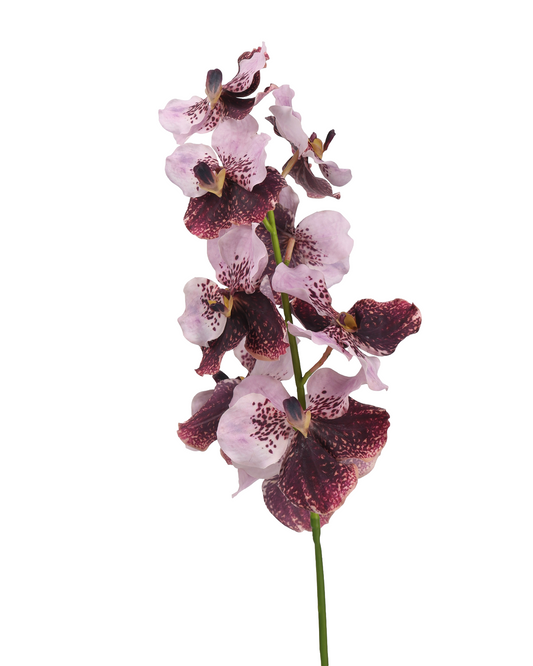 High‑Quality Real‑Touch Artificial Vanda Multi‑Blossom Stem‑33.8"