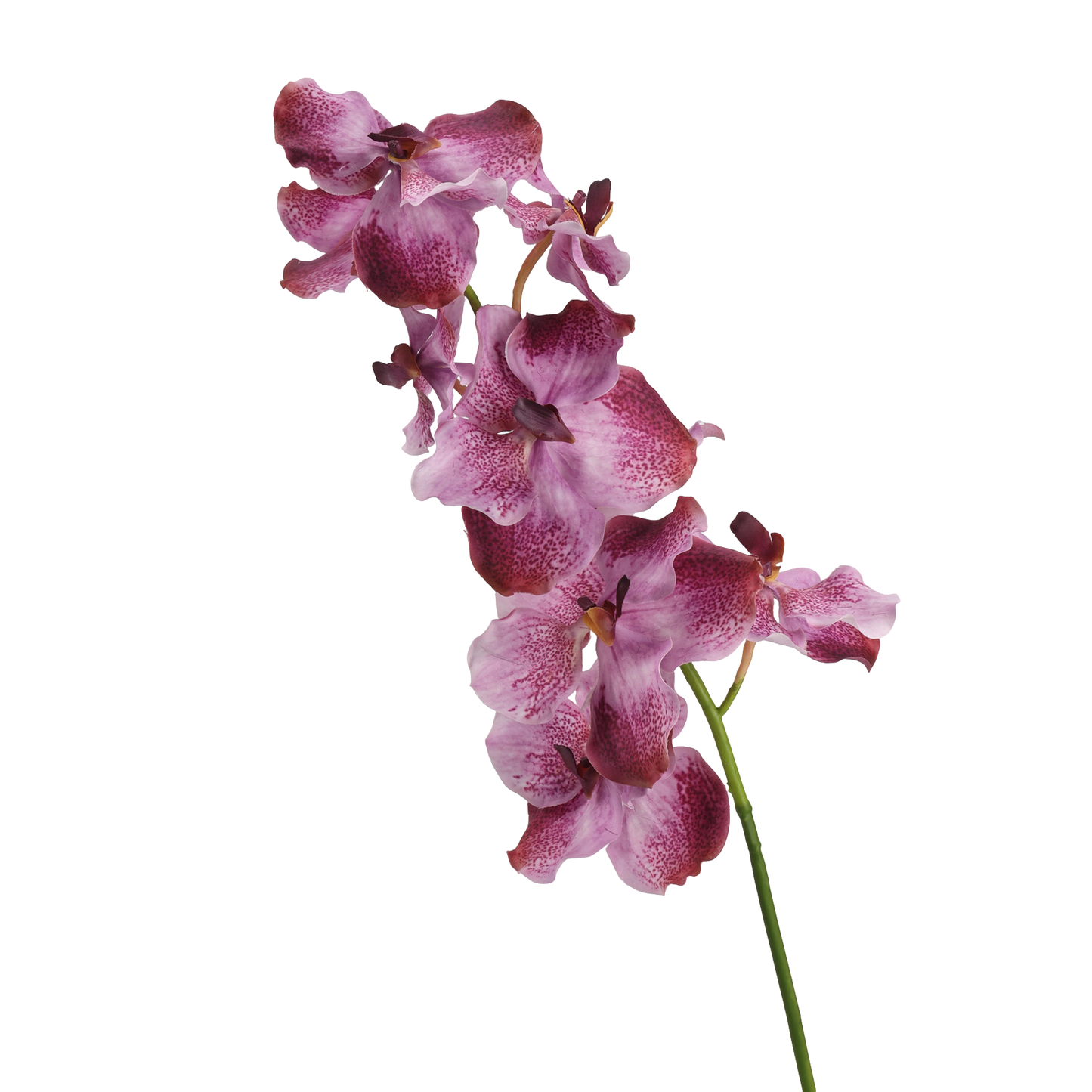 High‑Quality Real‑Touch Artificial Vanda Multi‑Blossom Stem‑33.8"