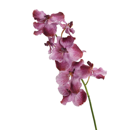 High‑Quality Real‑Touch Artificial Vanda Multi‑Blossom Stem‑33.8"
