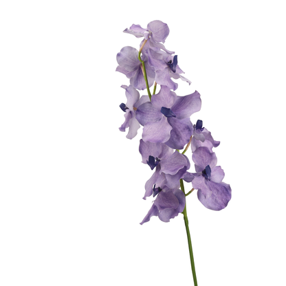 High‑Quality Real‑Touch Artificial Vanda Multi‑Blossom Stem‑33.8"