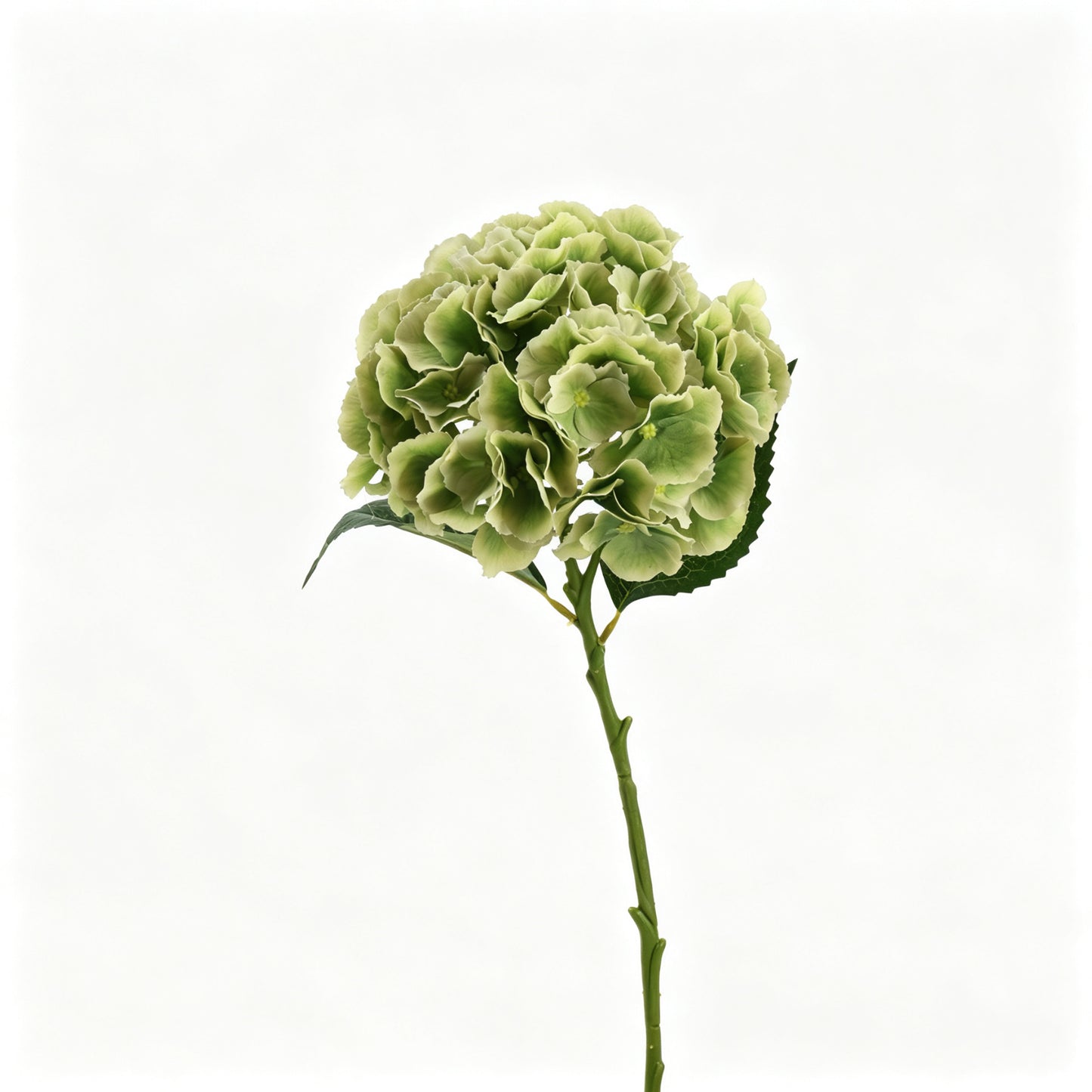 Artificial Real Touch Hydrangea Stem - 20.5"