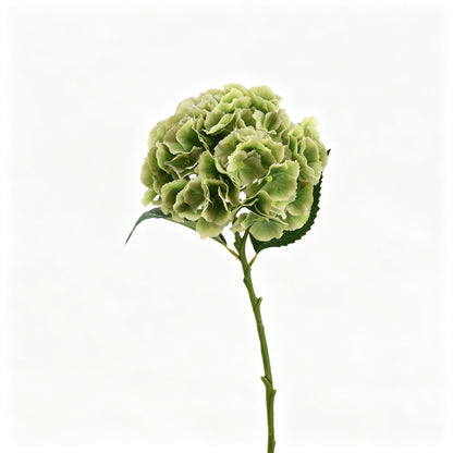 Artificial Real Touch Hydrangea Stem - 20.5"